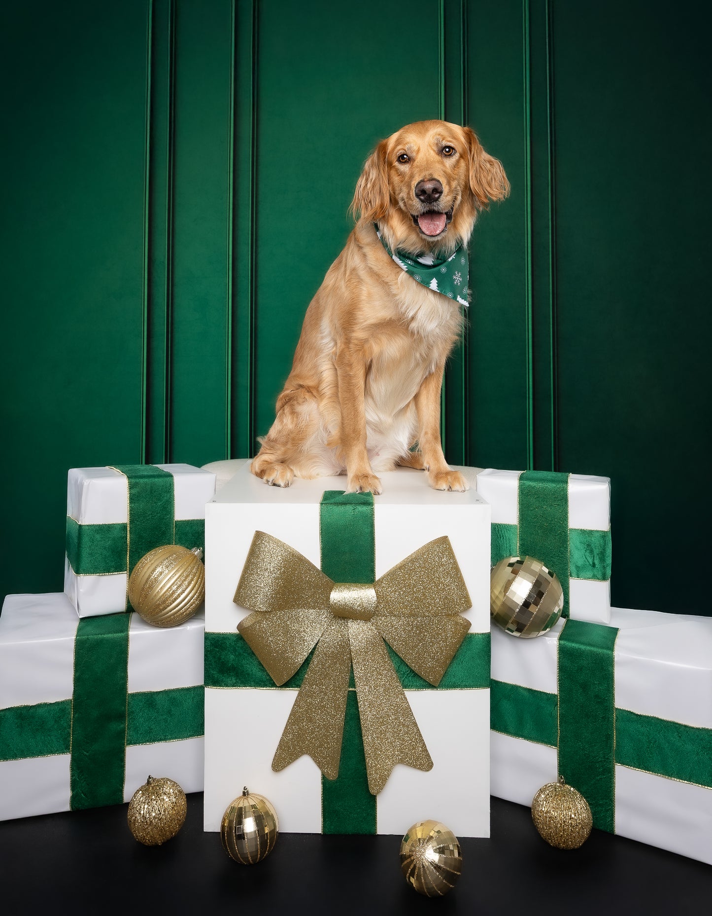 Christmas Minis 2025