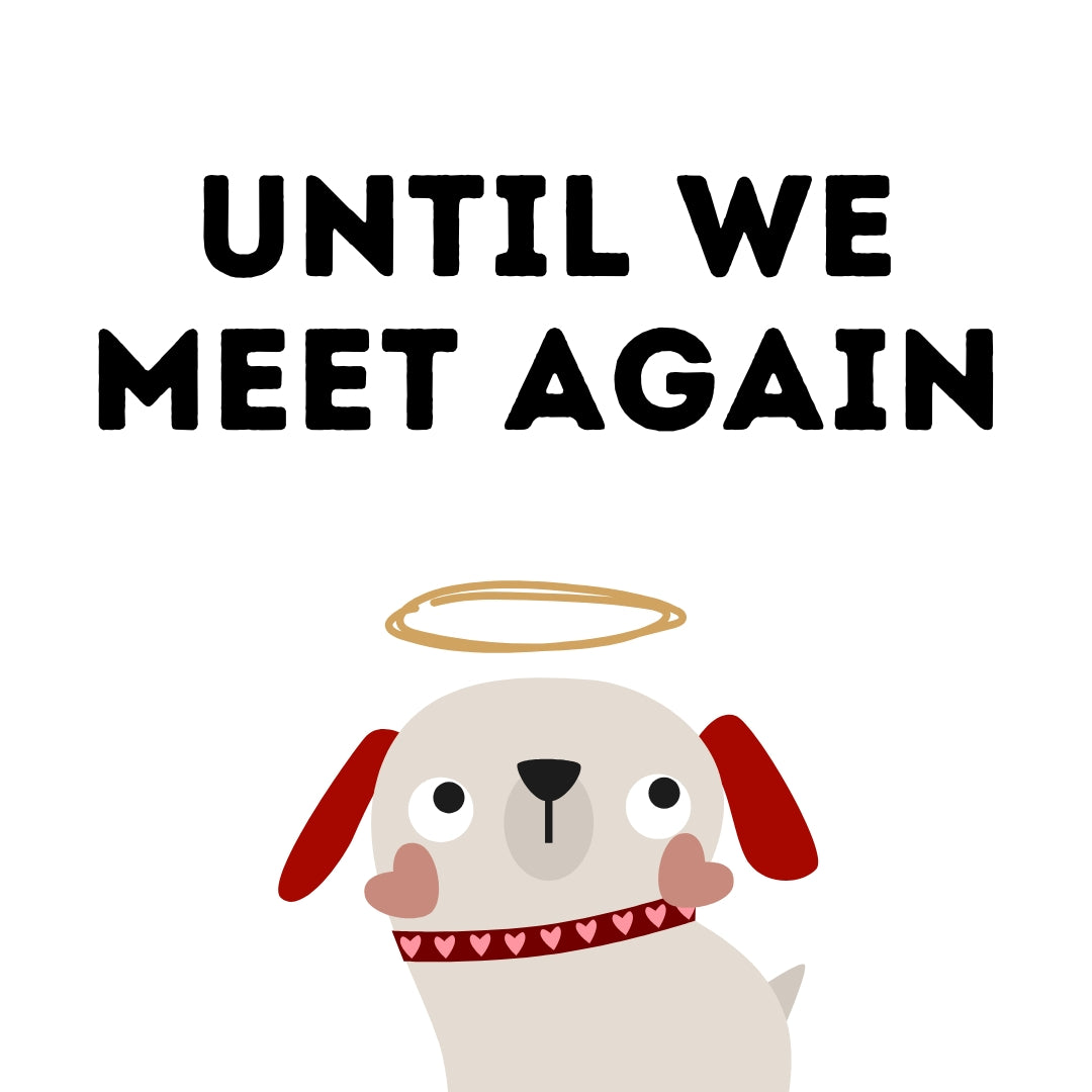Until We Meet Again