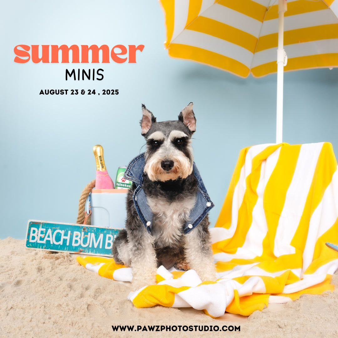 Summer Minis 2025