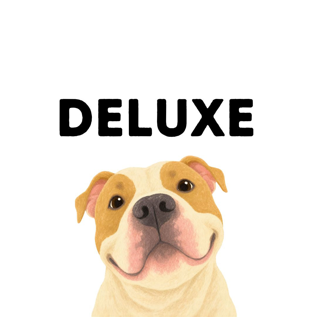 Deluxe Package
