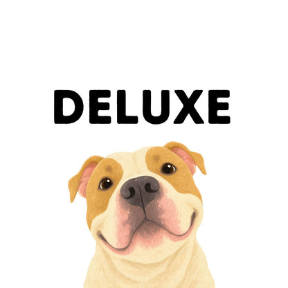 Deluxe Package