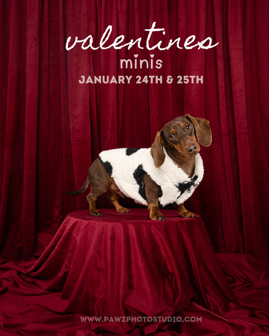 Valentines Minis 2026 ♥️