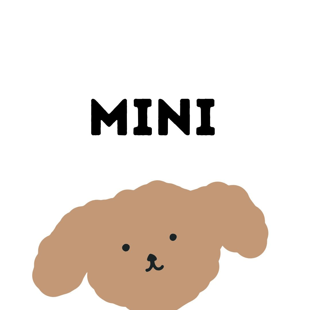 Mini Package