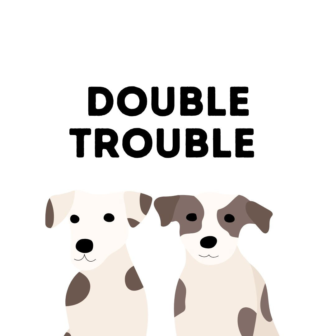 Double Trouble Package