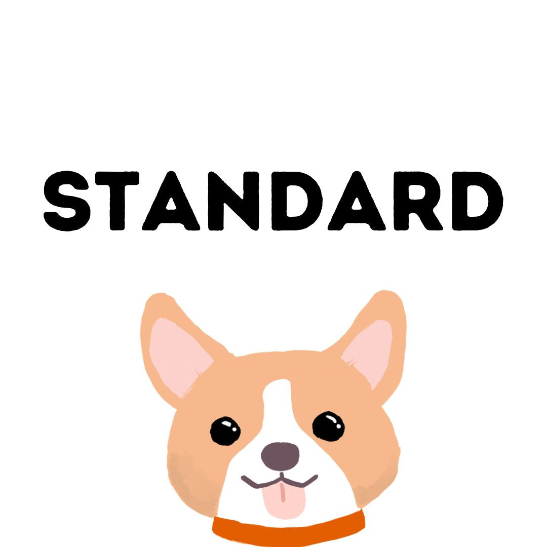 Standard Package