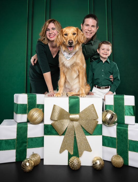 Christmas Minis 2025