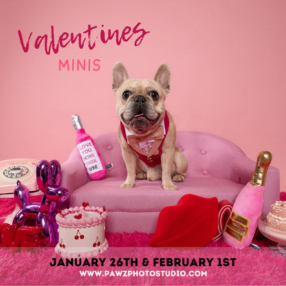 Valentines Minis 2025