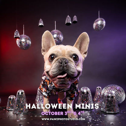 Halloween Minis 2026 👻