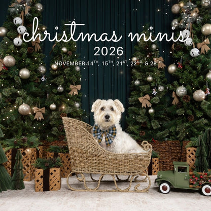 Christmas Minis 2026 🎄
