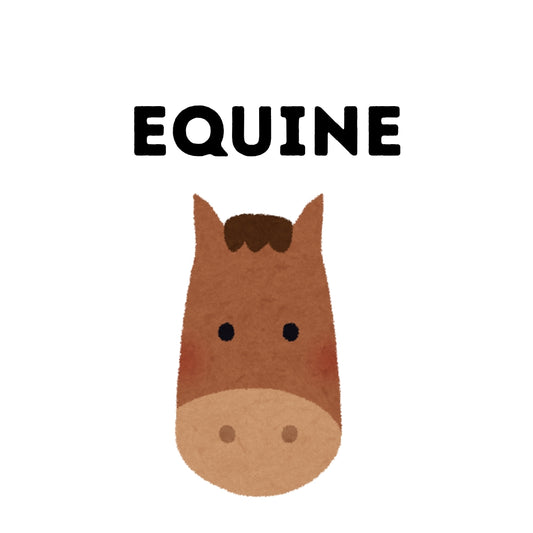 Equine Package